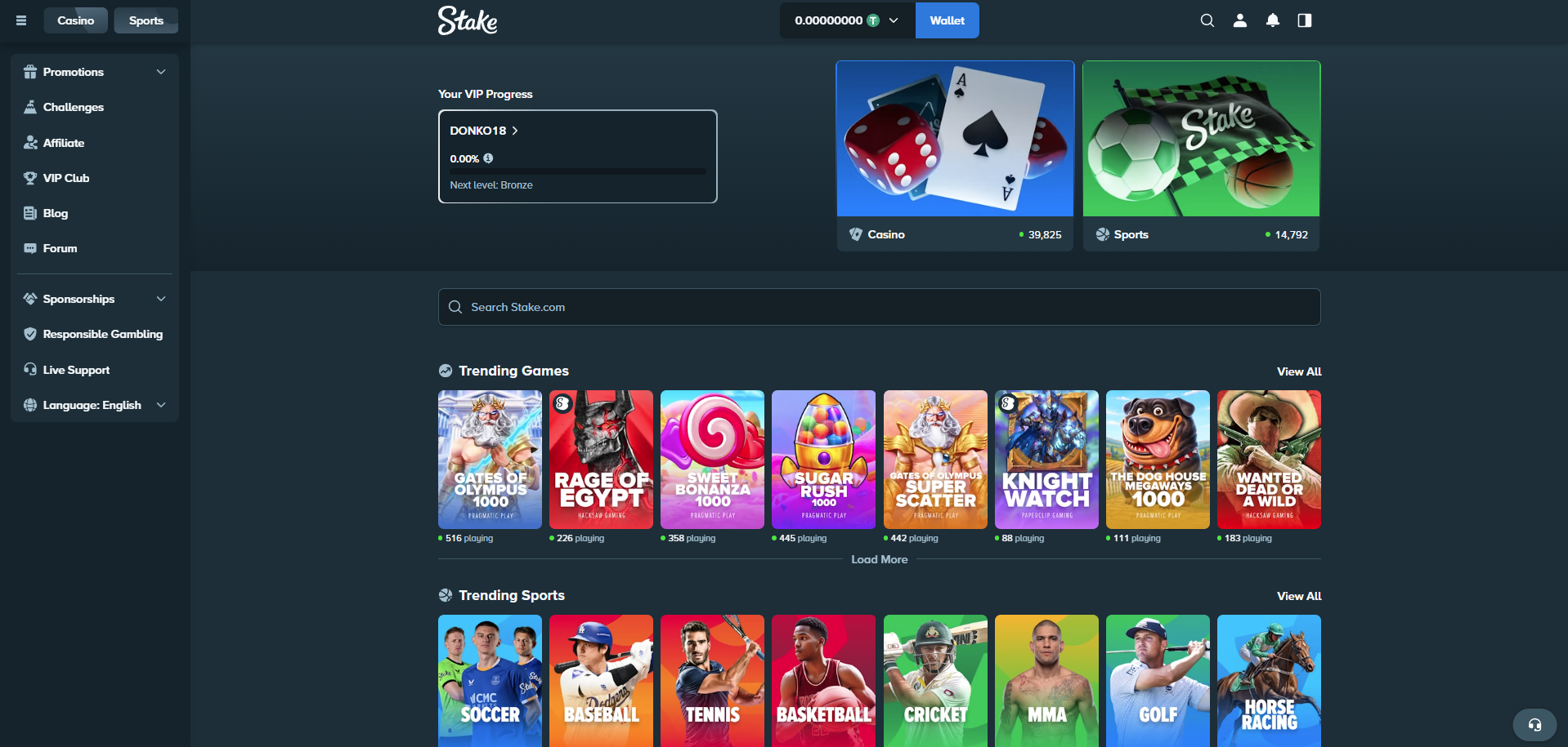 Stake dashboard after signup